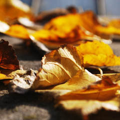 网站攻击工具手机版